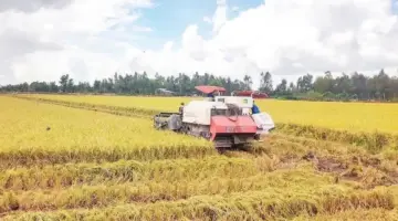 إيقاف انخفاض أسعار تصدير المنتجات الزراعية.